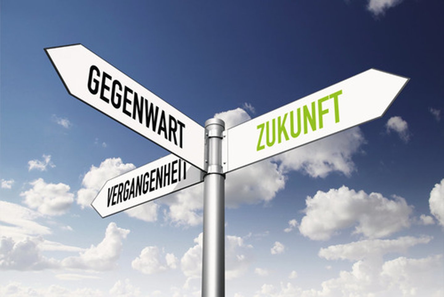 <p>die Zukunftsperspektive</p>