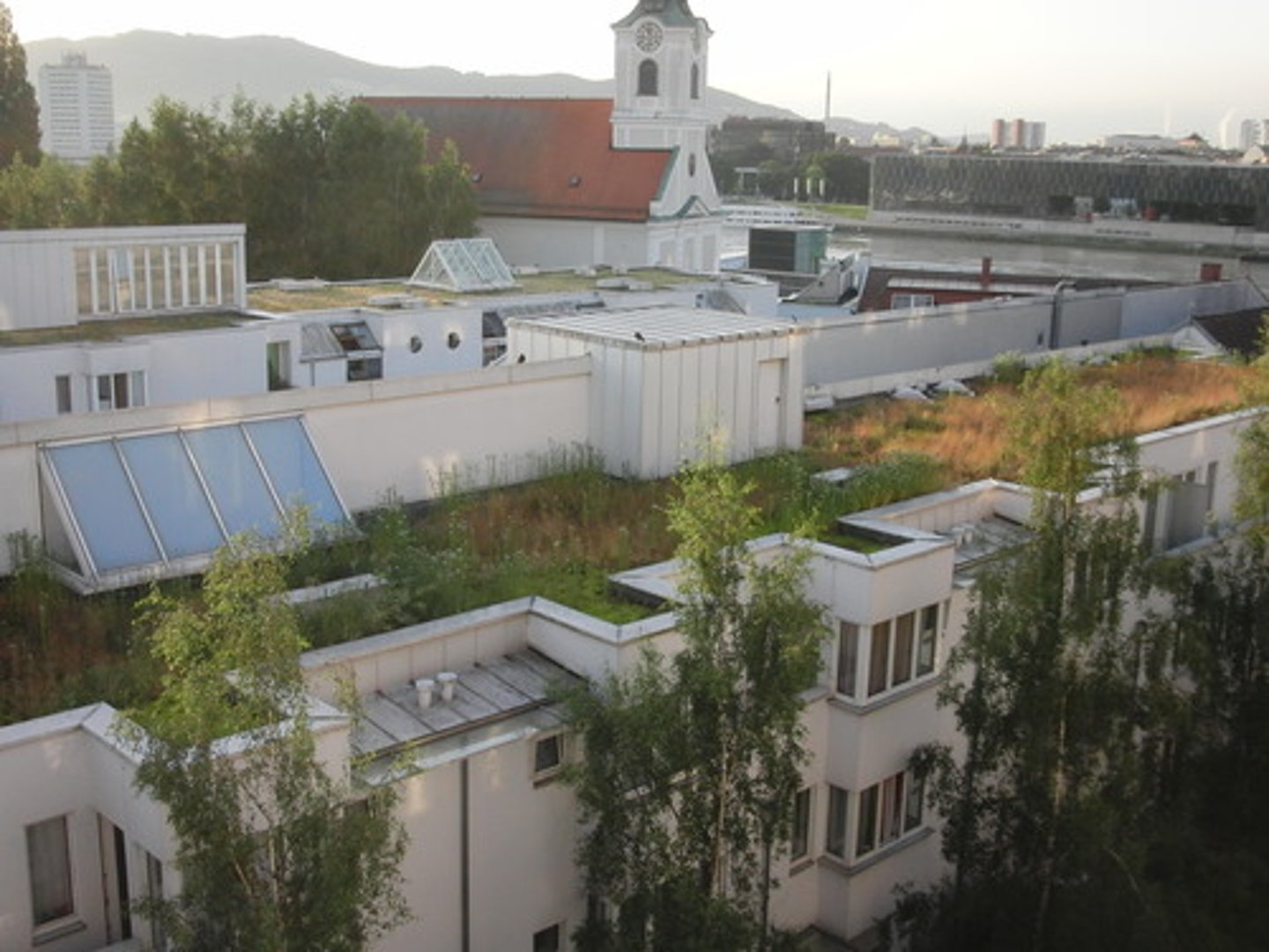 <p>The practice of cultivating, processing, and distributing food in or around a village, town, or city.</p>