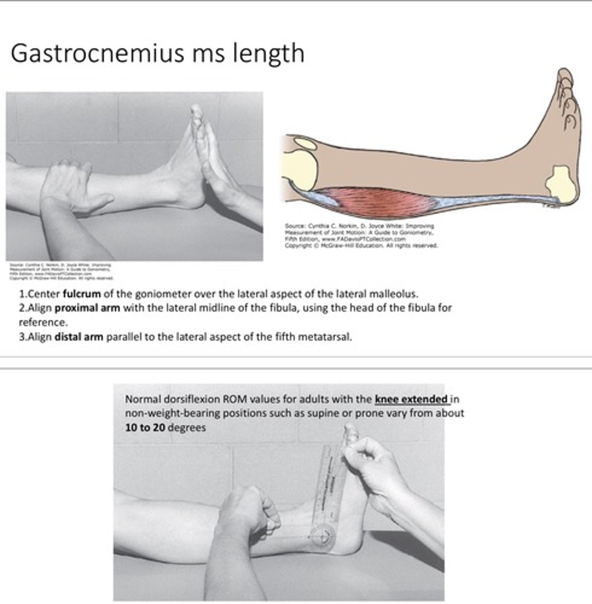 <p>fulcrum: lateral malleolus<br>proximal: lateral midline fibula<br>distal: parallel to 5th metatarsal<br><br>* supine<br>* bring ankle into dorsiflexion<br><br>COMPARE TO NORMAL DORSIFLEXION (sitting on edge table)</p>