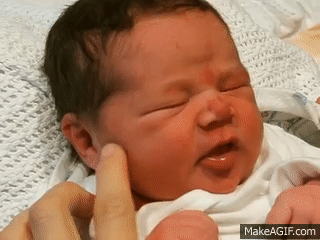 <p>Rooting reflex </p>