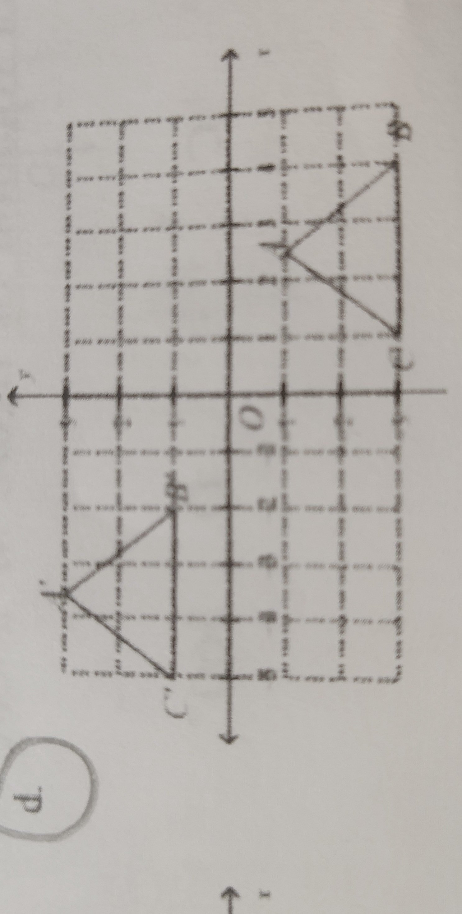 <p>Answer:D</p>