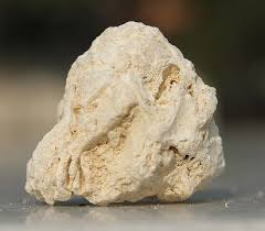 <p>Fossiliferous limestone (S)</p>