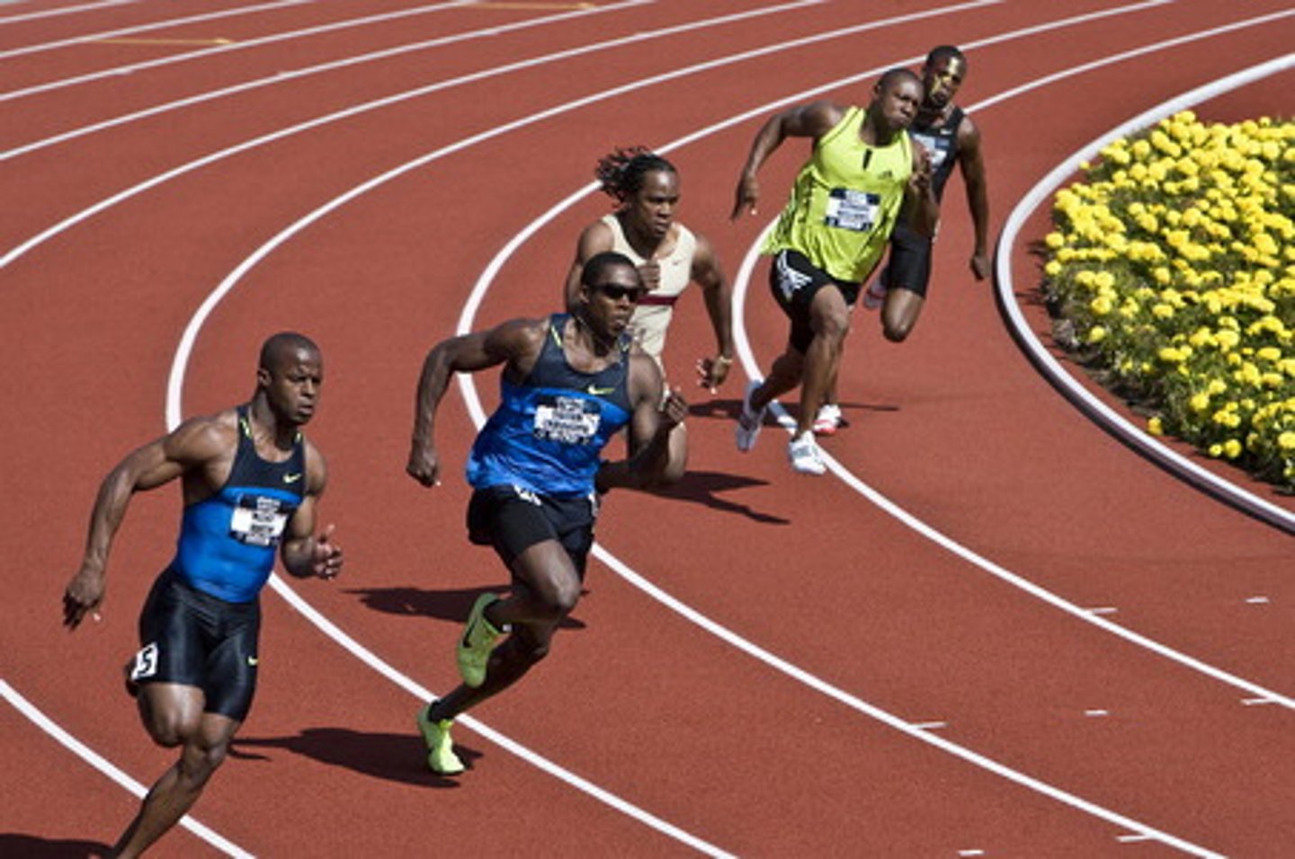 <p>athletics - điền kinh</p>