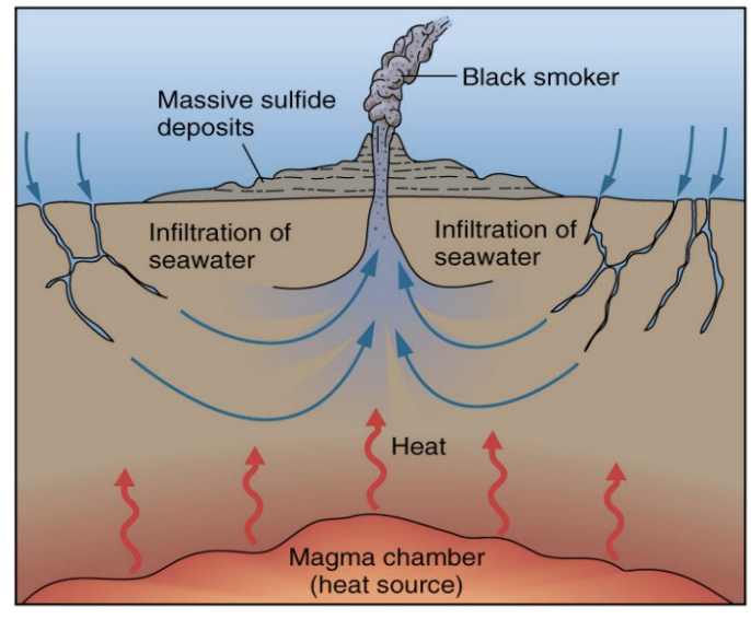 <ul><li><p>pod-like deposits of sulphide minerals associated with black smokers </p></li><li><p>grey to brassy yellow on fresh surfaces, greenish grey on weathered surface </p></li><li><p>pyrite, chalcopyrite</p></li><li><p>direct association with volcanic activity at mid-ocean ridges </p></li></ul>