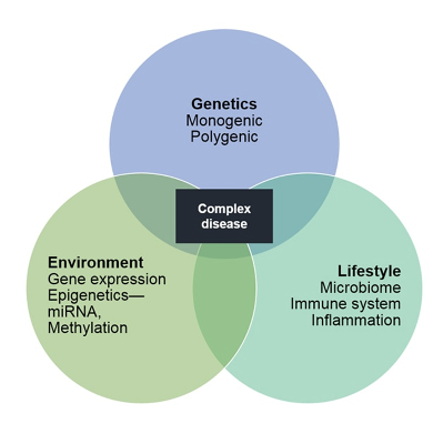 <p>genetics + environment + lifestyle</p>