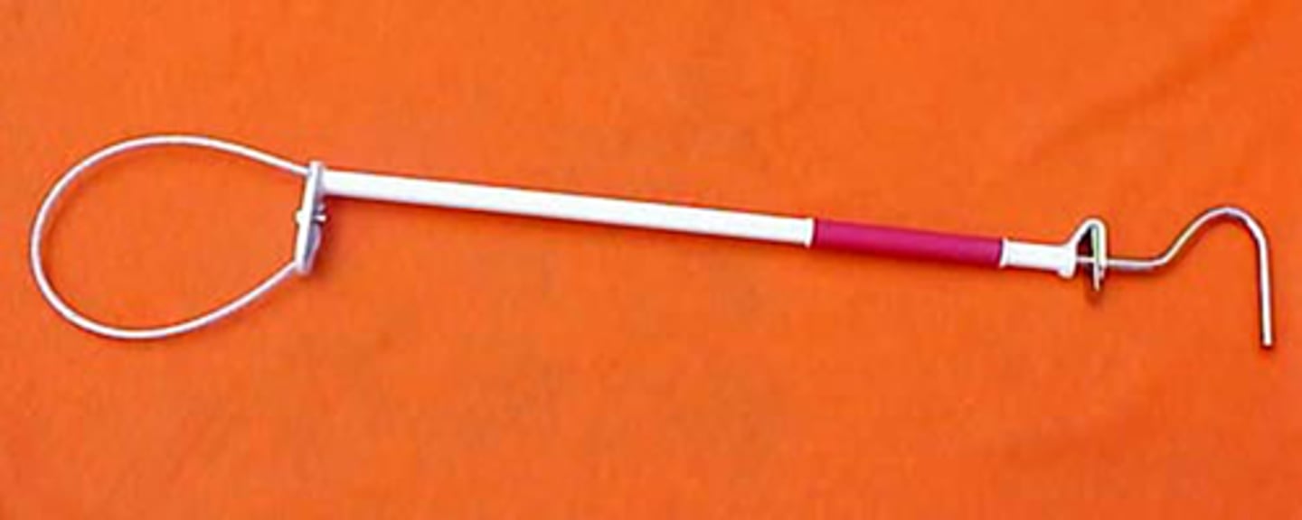 <p>What is this item?</p><p>a. spirette</p><p>b. OB forceps</p><p>c. snare</p><p>d. post-cervical foam tip catheter</p>