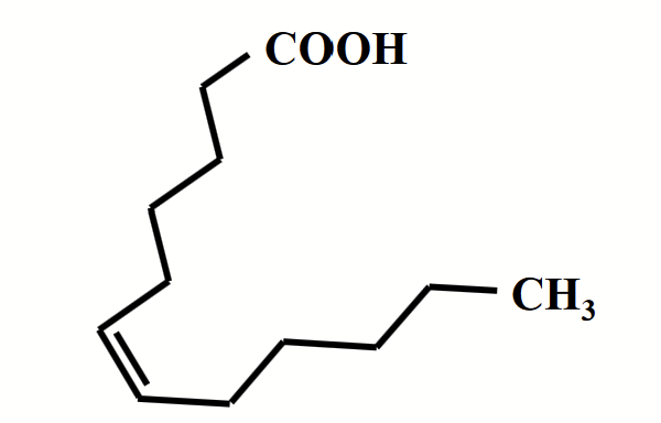 <p>Fatty acids with one (monounsaturated) or more (polyunsaturated) double bonds (triple bonds are not common) in the chain.</p><p>Pack <strong>less regularly</strong> due to the kink caused by the cis double bond, lowering the number of favourable interactions. <strong>Less thermal energy is required to disrupt disordered packing</strong>, as a result, the <strong>melting temperature is drastically lowered.</strong> The fluidity of lipid membranes depends a great deal on this fact!</p><p>Found as liquids at room temperature.</p>