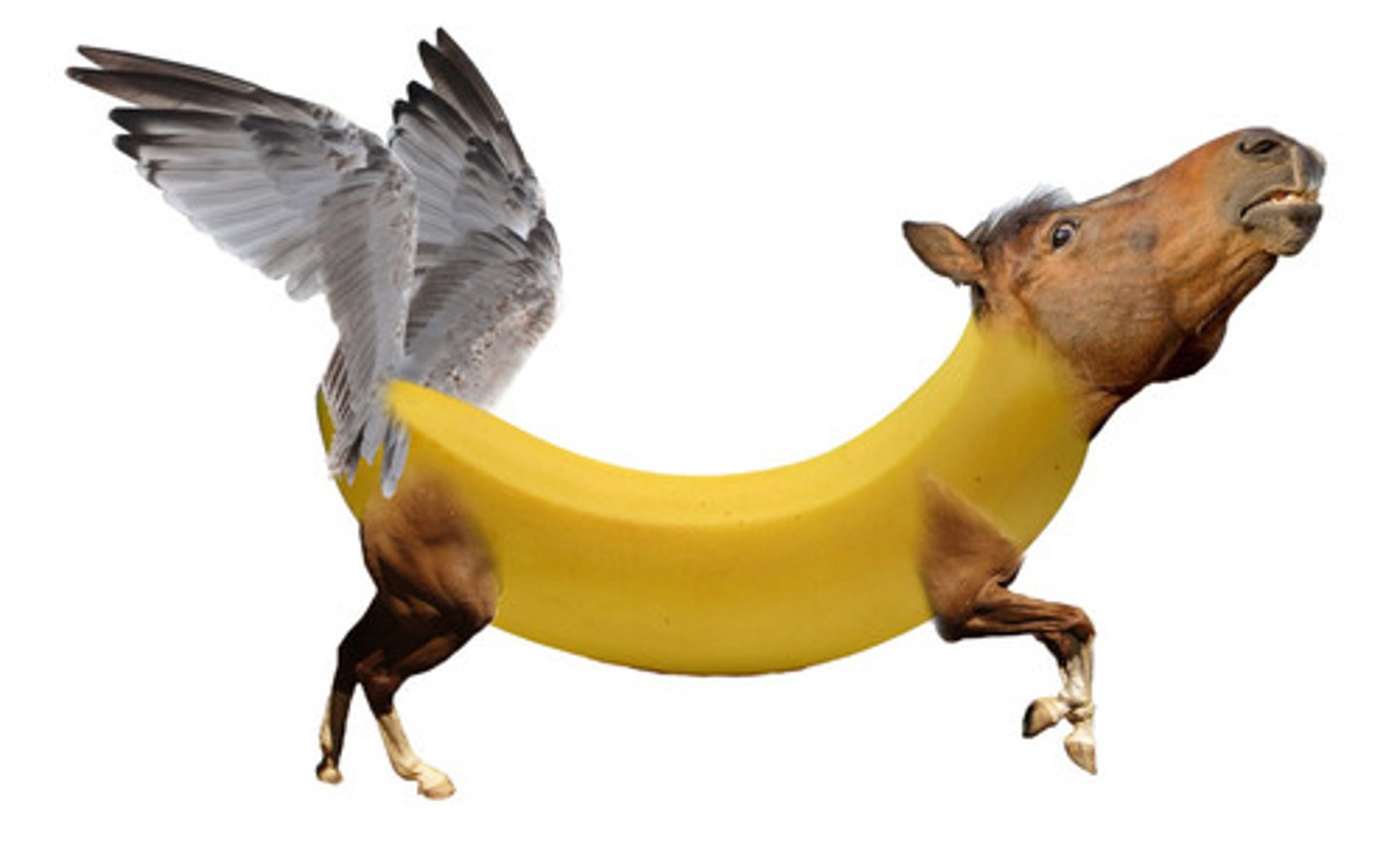 <p>inconsistent with reason or logic or common sense</p>