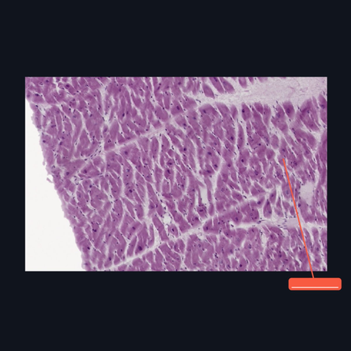 <p>Identify the structure</p>