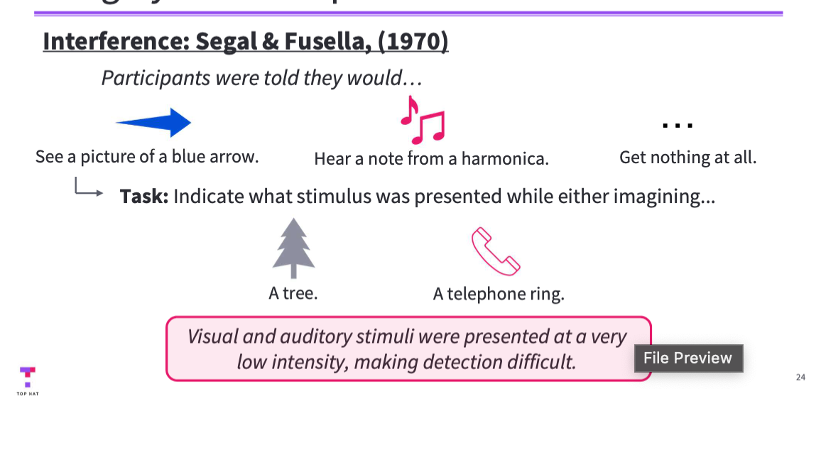 <ul><li><p>Participants either imagined a visual stimulus (a tree) or an auditory one (a phone ringing).</p></li><li><p>While imagining, they tried to detect a <strong>very faint</strong> real visual or auditory signal.</p></li><li><p>Detection of the <strong>visual</strong> signal dropped when participants were imagining a <strong>visual</strong> image.</p></li><li><p>Detection of the <strong>auditory</strong> signal dropped when imagining an <strong>auditory</strong> image.</p></li><li><p>This selective interference suggests imagery uses the <strong>same resources</strong> as perception in that modality.</p></li></ul><p></p>