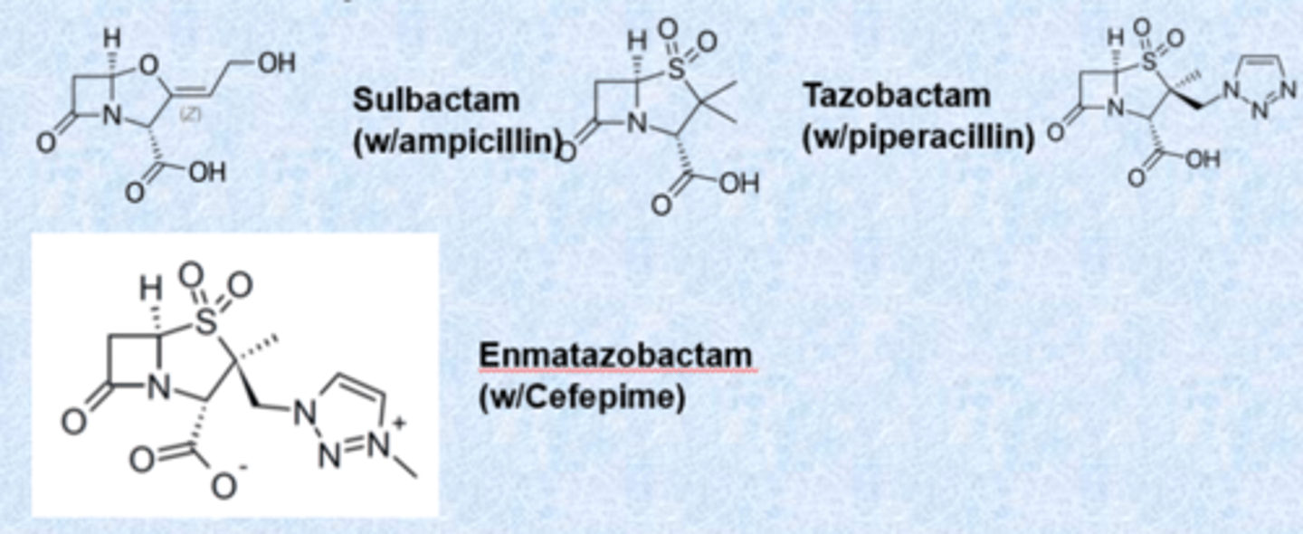 <p>b-lactamases classified by Ambler (A-D)</p><p>- A/C/D similar to serine proteases</p><p>- class A inhibitors: no activity on their own</p>