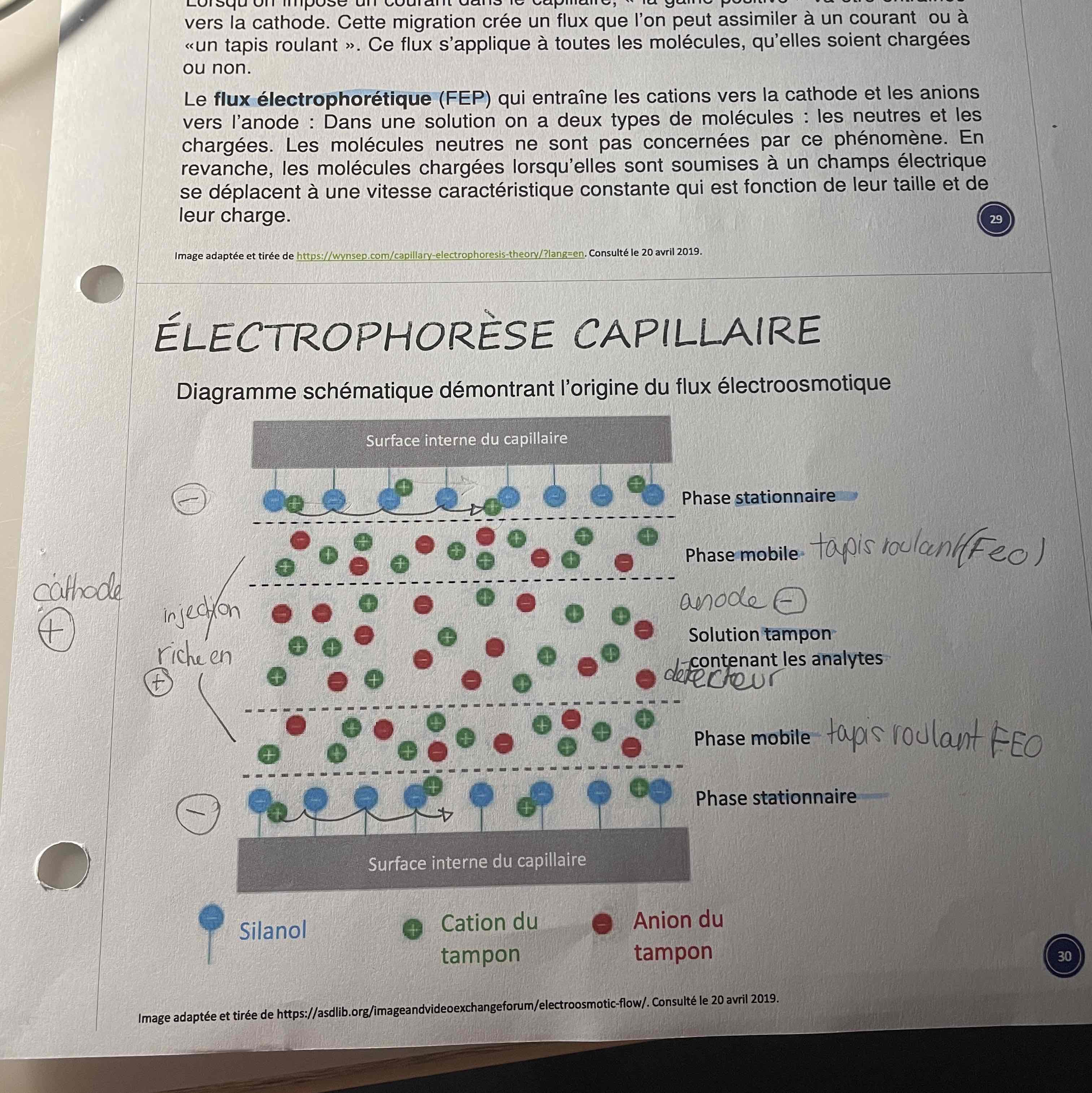 knowt flashcard image