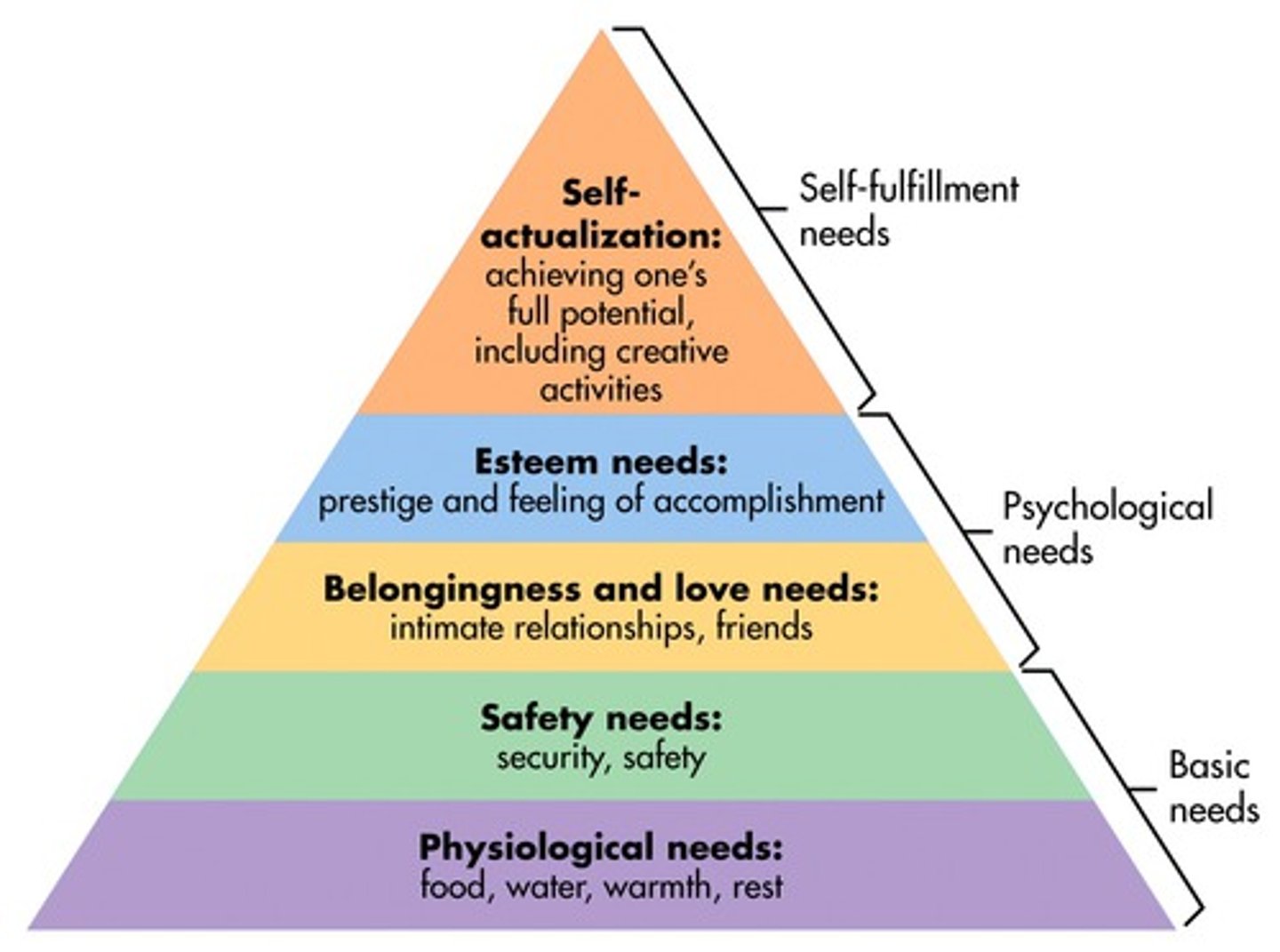 <p>- physiological needs</p><p>- safety needs</p><p>- social needs (love and belonging)</p><p>- esteem</p><p>- self-actualization</p>