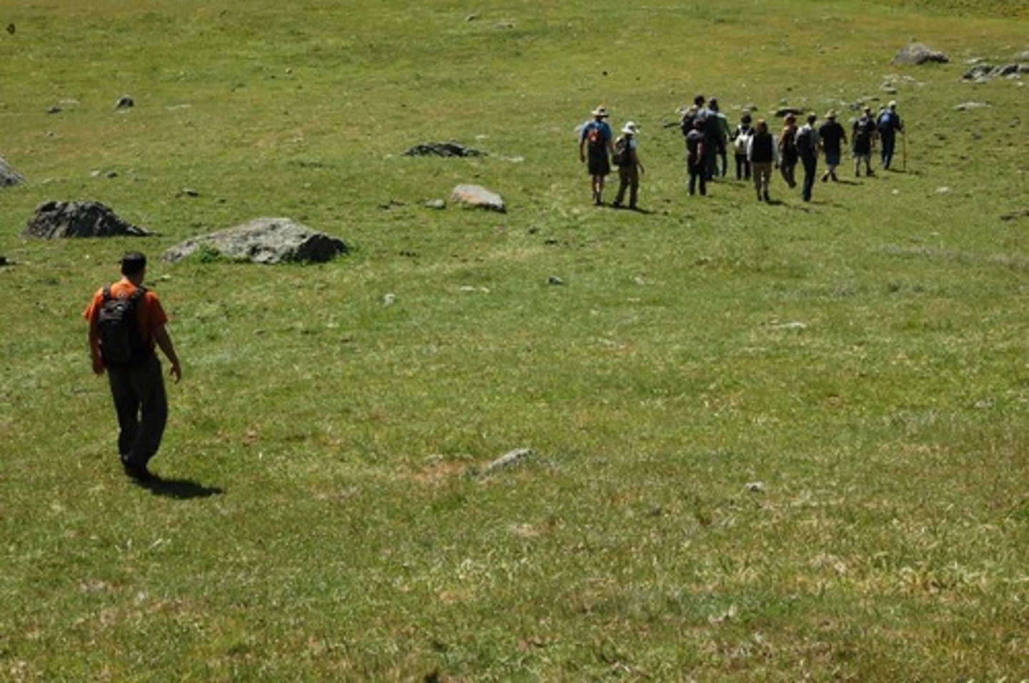 <p>Догнать группу по прогрессу</p>