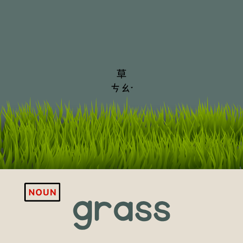 <p>grass</p>