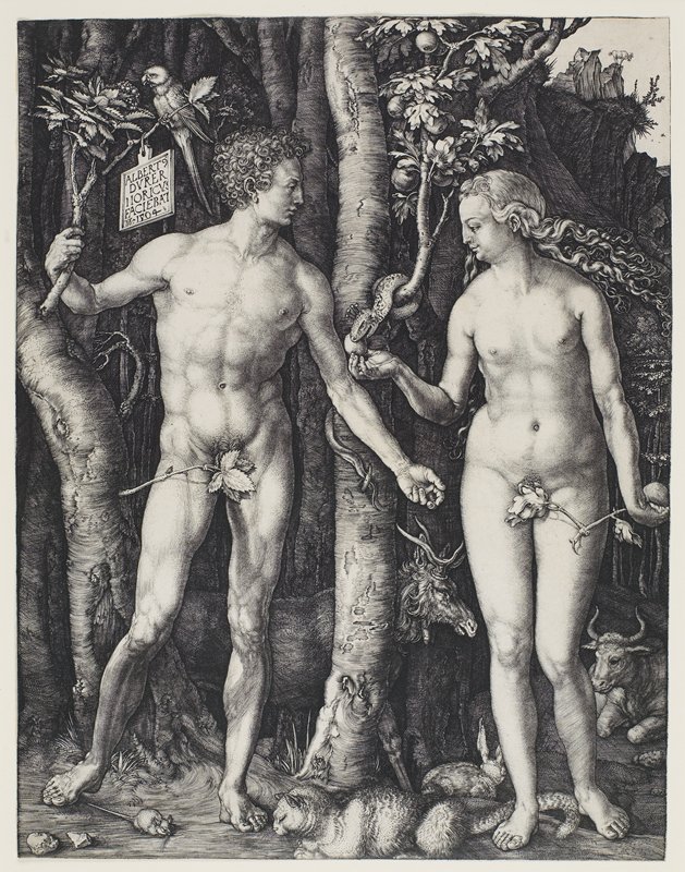 <p><strong>Albrecht Durer, ___________, 1504 engraving print, Museum of Fine Arts, Boston</strong></p>