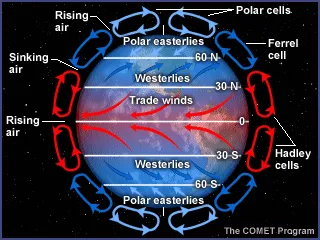 <ul><li><p>heat driven cycles </p></li><li><p>warm air rises and cold air sinks</p></li><li><p>due to points having different proximities to heat sources (the sun)</p></li></ul>