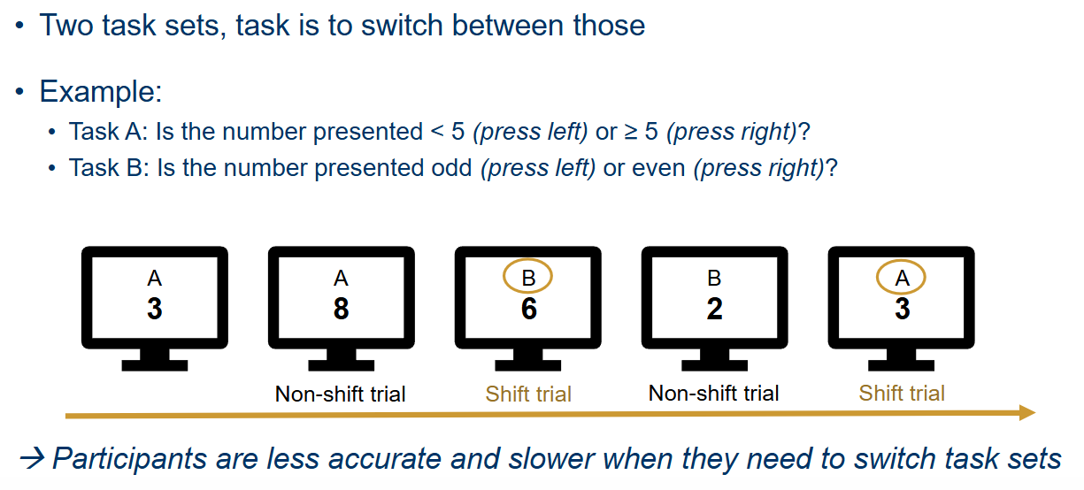 <ul><li><p>Participants are less accurate and slower when they need to switch task sets. </p></li><li><p>3- &amp; 4-year-olds can shift between two simple, contextualized response sets</p></li><li><p> Between 5 and 6 years further improvement in more complex shifting task</p><p>→ generalizing rules to new, unseen objects</p></li><li><p>With increasing age until early adolescence, steady increase in proportion of children who master complex shifting tasks</p><p></p></li><li><p><strong>Shift cost </strong>(= difference between shift and non-shift trials) greater for 7- and 11-year-olds than for 15-year-olds, 15-year-olds comparable to young adults</p><ul><li><p>S<strong>peed-accuracy tradeoff</strong>: slowing down to enhance accuracy: more noticeable across childhood → emerging presence of metacognition</p></li></ul><p>• In older age, marked age-related decline: higher shift cost</p></li></ul><p></p>
