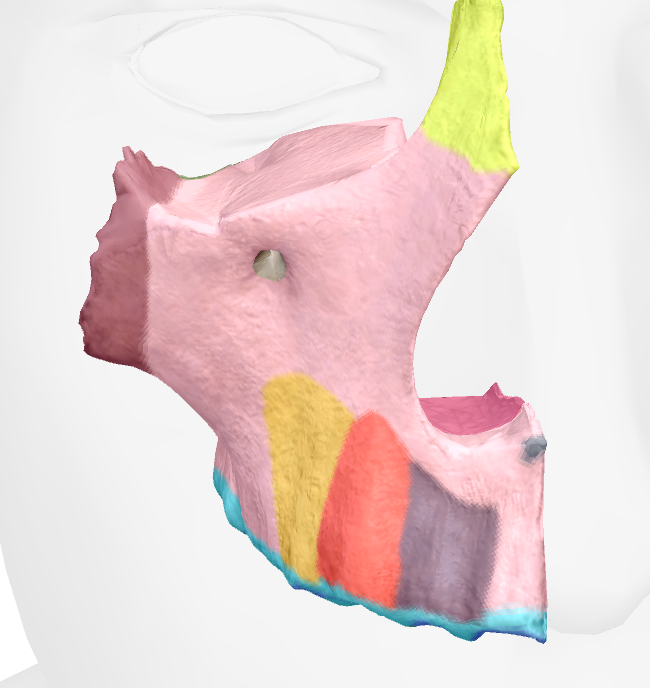 <p>region where the teeth connect to bone on maxilla</p>
