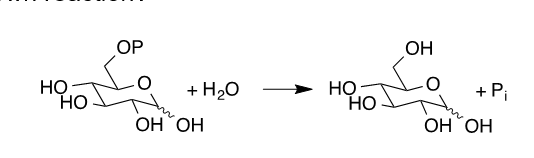 <p>Where can you expect to find the enzyme catalyzing this shown reaction?</p>