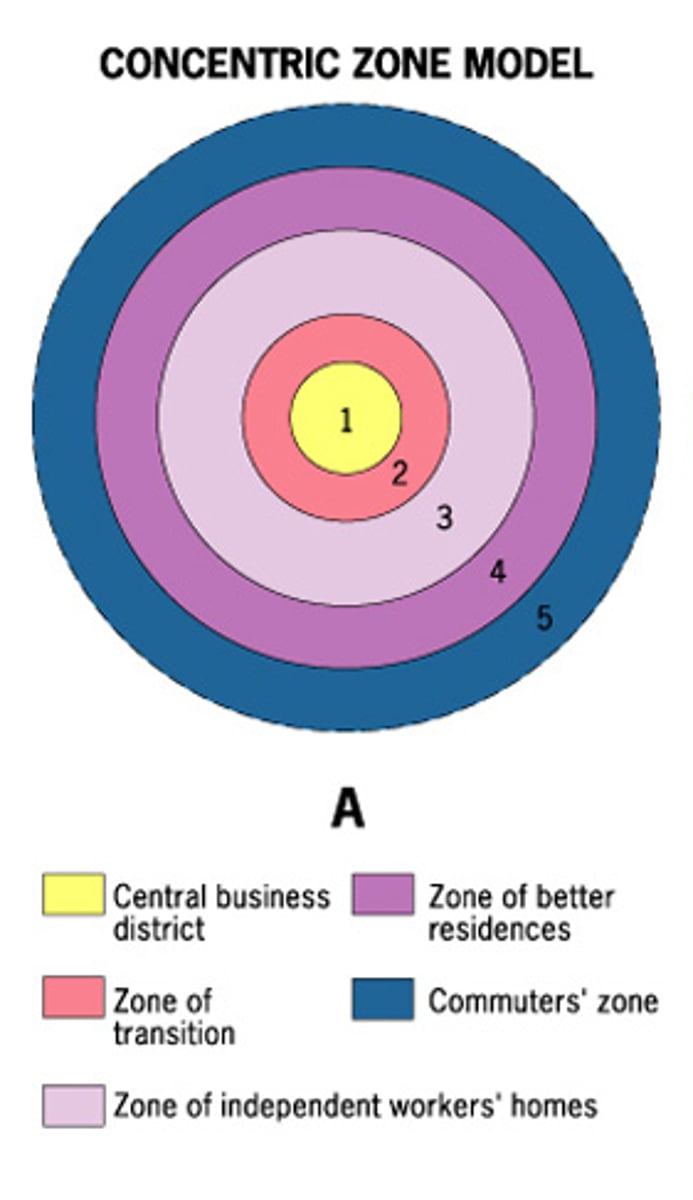 <p>A model of the internal structure of cities in which social groups are spatially arranged in a series of rings.</p>