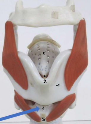 <p>4</p>