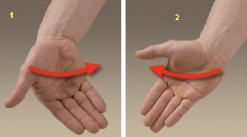 <p>What are these two movements of the wrist called?</p>
