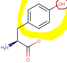 <p>Odd Ball (6)</p><p>Polar-Neutral </p><p>Contains -OH (Polar)</p>