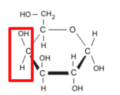 <p>What is this?</p>