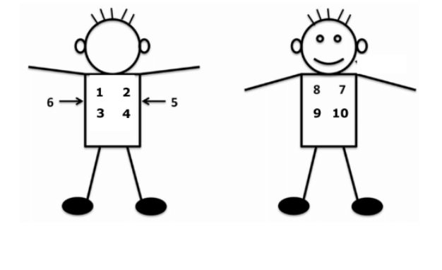 <ul><li><p>ask patient to take their shirt off</p></li><li><p>stethoscope switched to diaphragm&nbsp;</p></li><li><p><strong>report results to patient </strong></p><ul><li><p>“clear and equal bilaterally”</p></li></ul></li></ul><p></p>