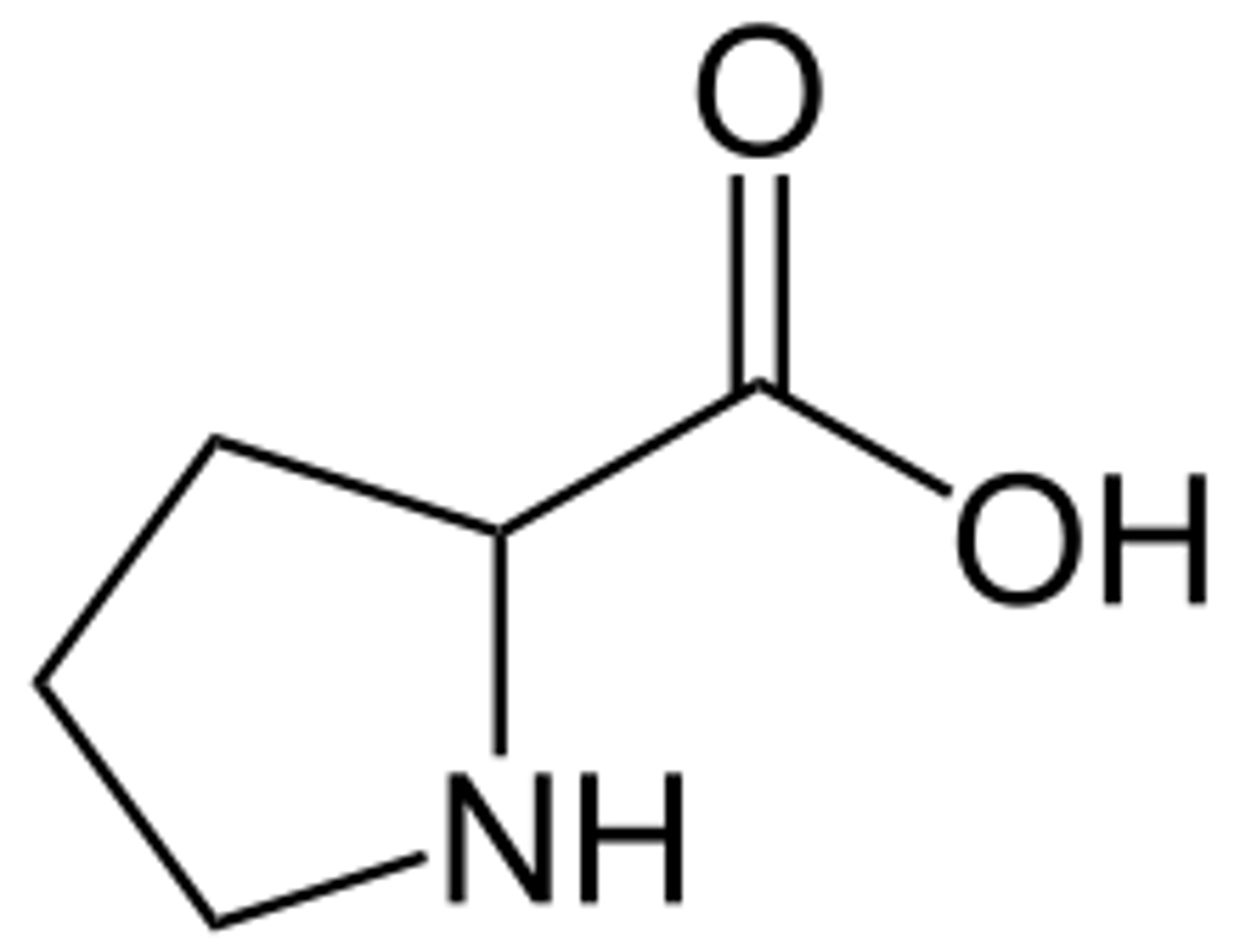 <p>Proline, Pro, P, non-polar, has a cyclic structure in the side chain and a secondary amino group alpha to the carboxyl group</p>