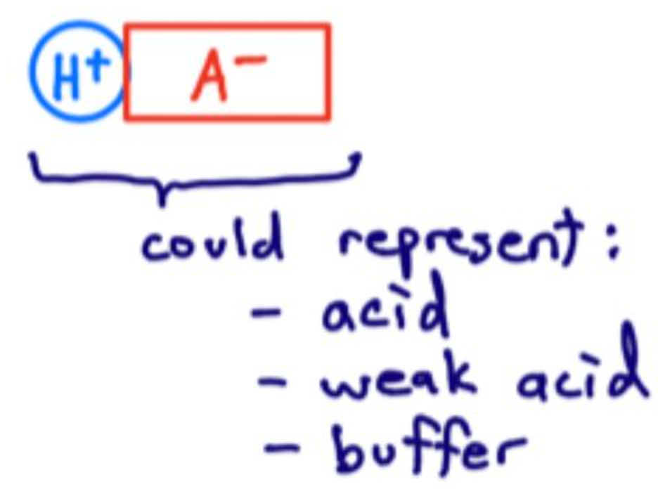 <p>An <strong>acid</strong>, <strong>weak acid</strong>, or a <strong>buffer</strong> component.</p>