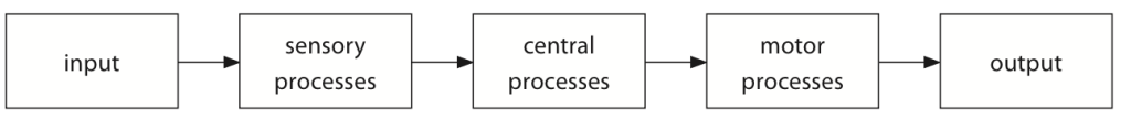 <p><em>An automatic system that a person uses to interpret information and react. It is normally comprised of inputs, processes (which can be sensory, central and motor), and outputs.</em></p><ul><li><p>The <strong>input</strong> would be the number to be called.</p></li><li><p>The <strong>sensory processes</strong> would be the eyes, which would transmit information to the brain.</p></li><li><p>The brain is the <strong>central processing unit</strong>, which examines the information and selects a response coded as a series of nerve impulses transmitted to the hand and muscles.</p></li><li><p>These are the <strong>motor processes</strong>, which reconvert the instructions into actions, that is, outputs.</p></li></ul>