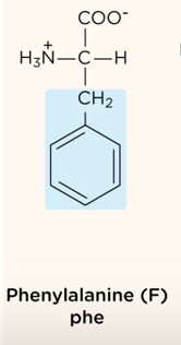 <p>nonpolar, aromatic R group</p>