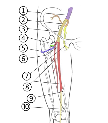 <p>1</p>