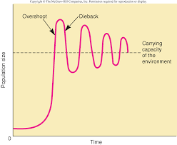 <p>a rapid decline in a population due to overshoot resulting in resource depletion and environmental degradation</p>