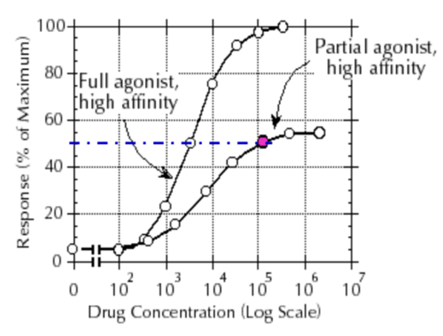 <p>FALSE</p><p>the max response of a full agonist is higher</p>