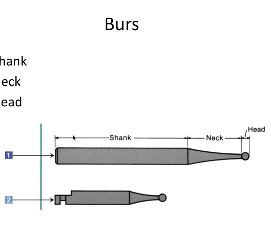 <p>Burs</p>