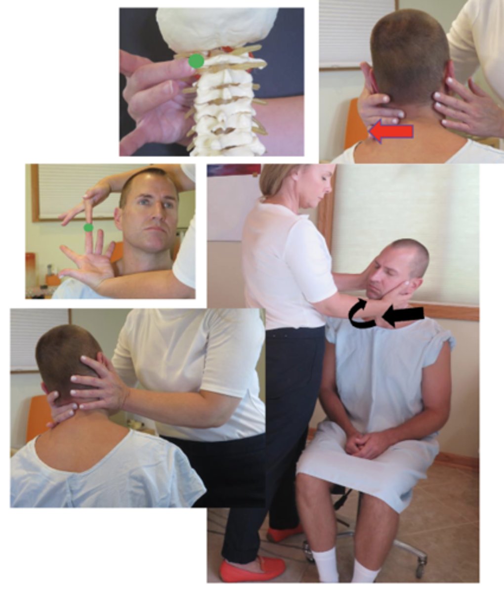 <p>• PP: Seated in a chair with a back, permission to contact the neck, identify how you found the segment</p><p>• DP: Stand facing patient, opposite side of contact, reaching across to contact atlas transverse, tissue slack M-L</p><p>• CH: Middle digit on the ATLAS TP, palm resting on patient's cheek, remaining fingers supporting head.</p><p>• IH: Stabilize head/occ, supporting temporal region, on opposite side contact</p><p>• Vec: P-A w/clockwise rotation (or counterclockwise depending on the listing)</p>