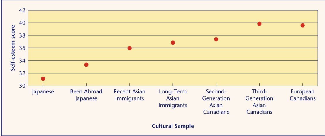 <ul><li><p>Canadians: worked longer on second task if they succeeded in the first</p></li><li><p>Japanese: worked longer on second task if they failed in the first</p></li></ul>