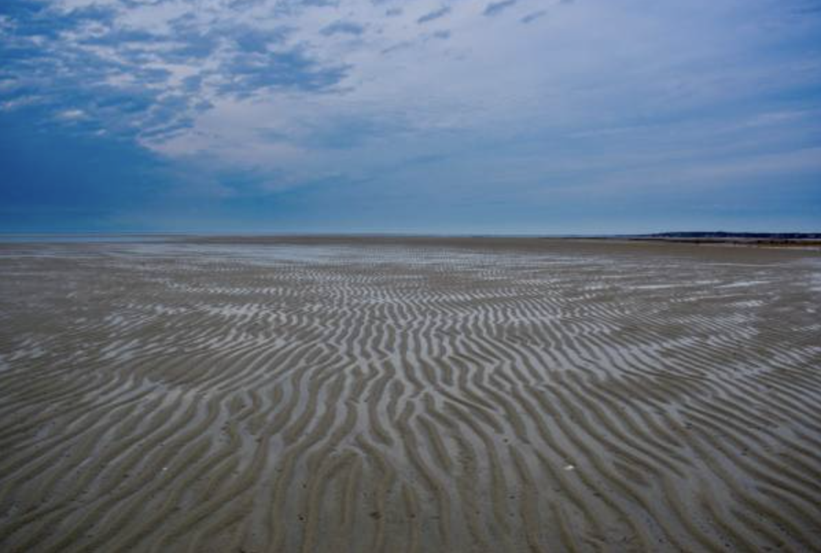 <p><strong>TYPES OF COASTS:</strong></p><p><span style="font-size: medium">these are zones along the coast that are <strong>flooded during hight tides and form in the intertidal zones lacking strong waves</strong>;</span></p><p><span style="font-size: medium">they’re common behind barrier islands or in estuaries</span></p>