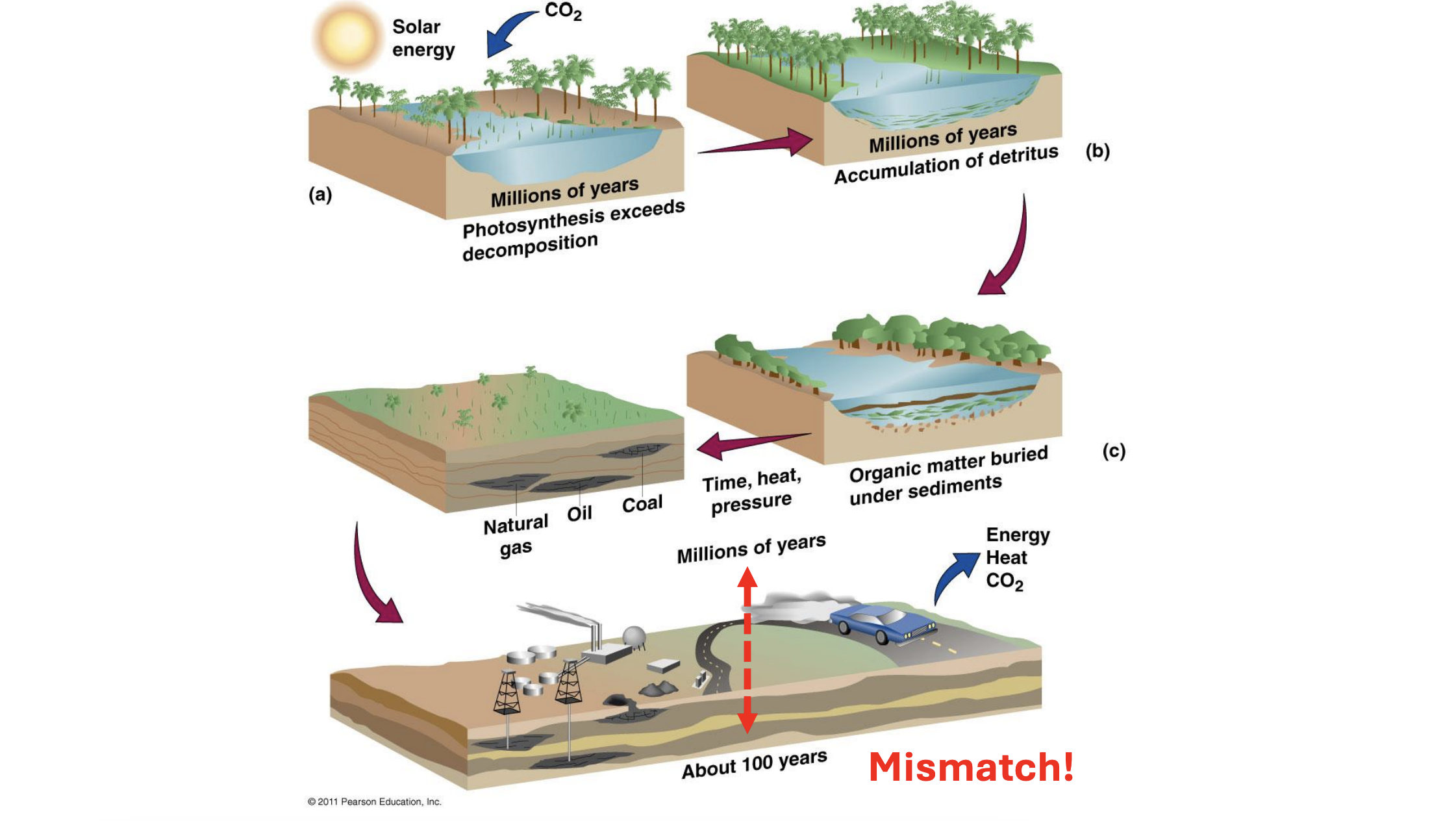 <ul><li><p>they are ancient organic material buried underground </p><ul><li><p>hundreds of millions of years old</p></li><li><p>burned for energy</p></li></ul></li><li><p>three main types:</p><ul><li><p>coal, oil, natural gas</p></li></ul></li></ul><p></p>