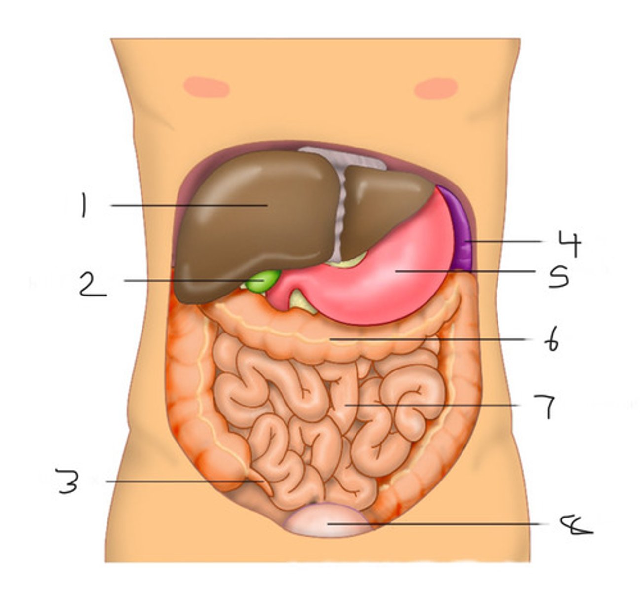 <p>#4</p>