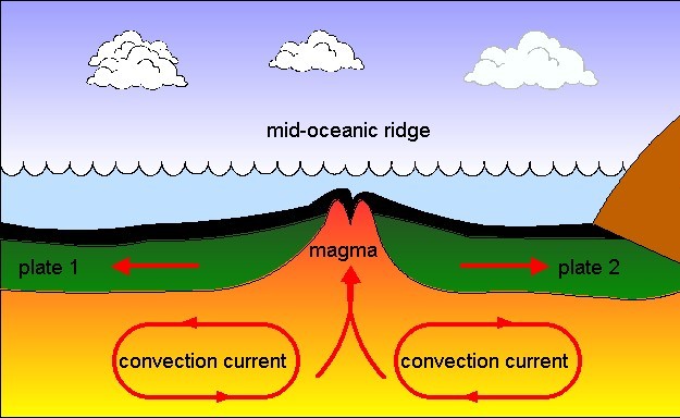 <p>seafloor spreading</p>
