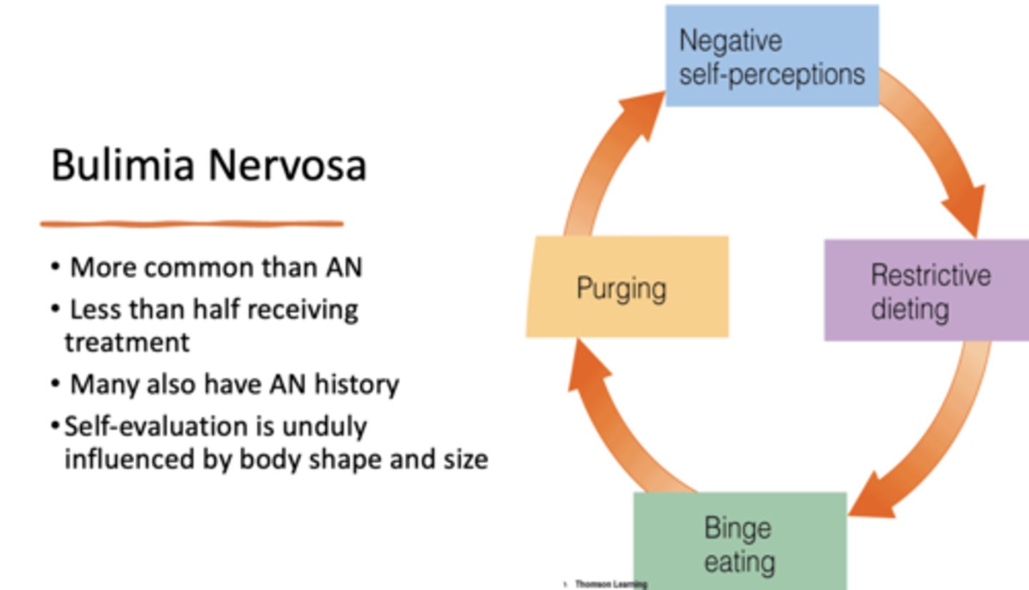 <p>Bulimia nervosa</p>