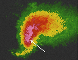 <p>Identify this radar Signature: </p>
