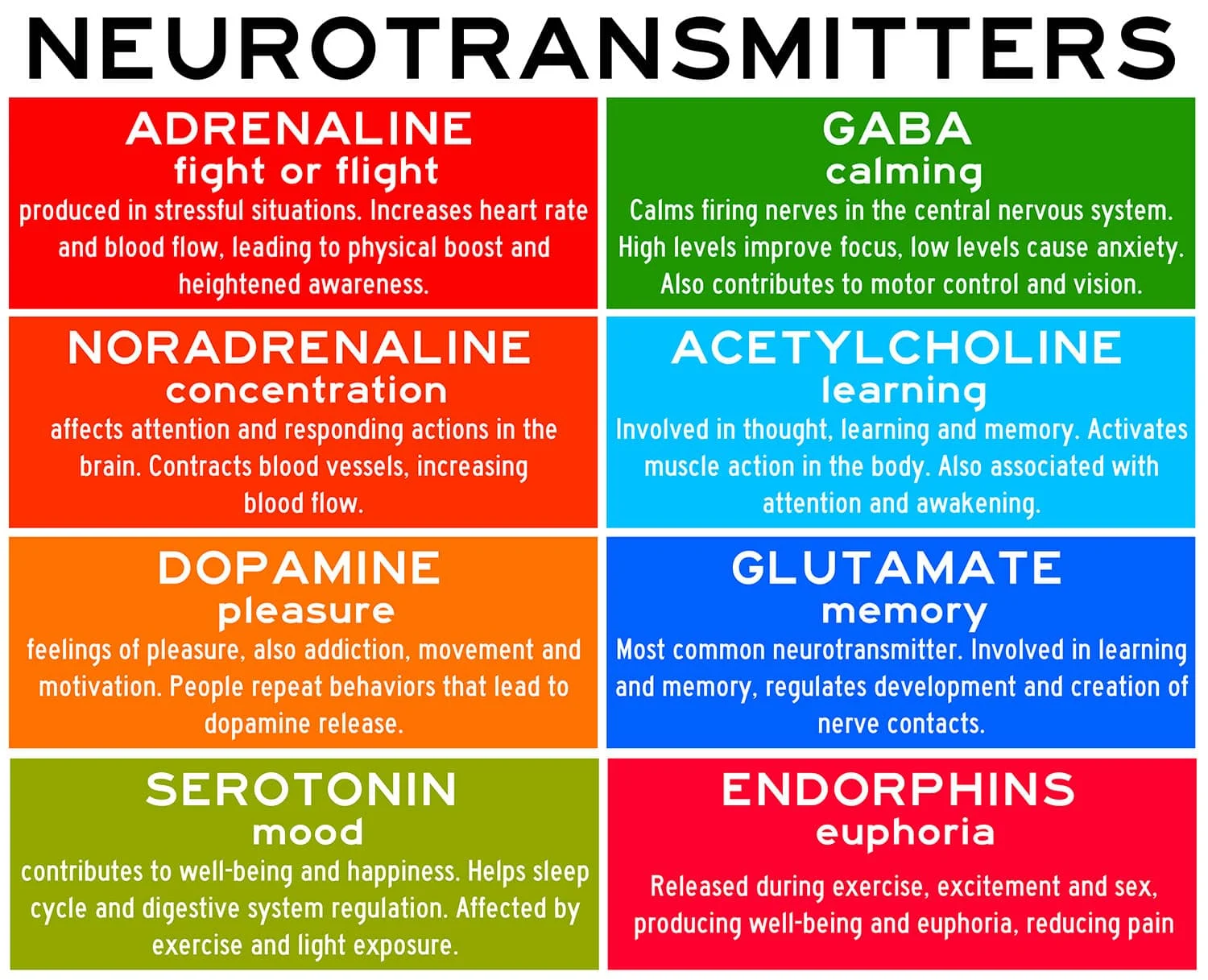 <p>Chemical messengers like acetylcholine, dopamine, serotonin, epinephrine/norepinephrine, GABA, endorphins, and glutamate influencing various functions in the brain and body.</p>