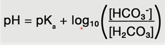 \[see image for equation\]

\- h2co3 = co2 due to presence of carbonic anhydrase

co2 = acid

\
CO2 + H2O <-CA-> H2CO3