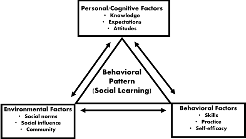 <p>Social Learning Theory</p>