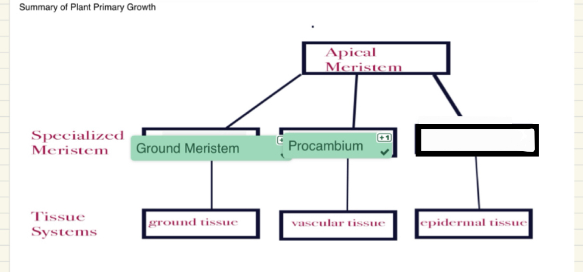 <p>What term is missing here?</p>